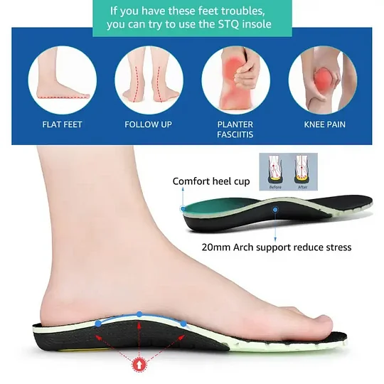 Preview /691f45b654a0cb00092a8c83/2026/01/26/product-img-697752e56f539c4f6d5e82da.png