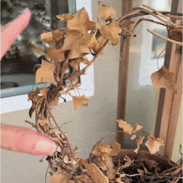 🔥Last Day 50% OFF🔥Realistic UV-Resistant Outdoor Flowers – Zero Maintenance