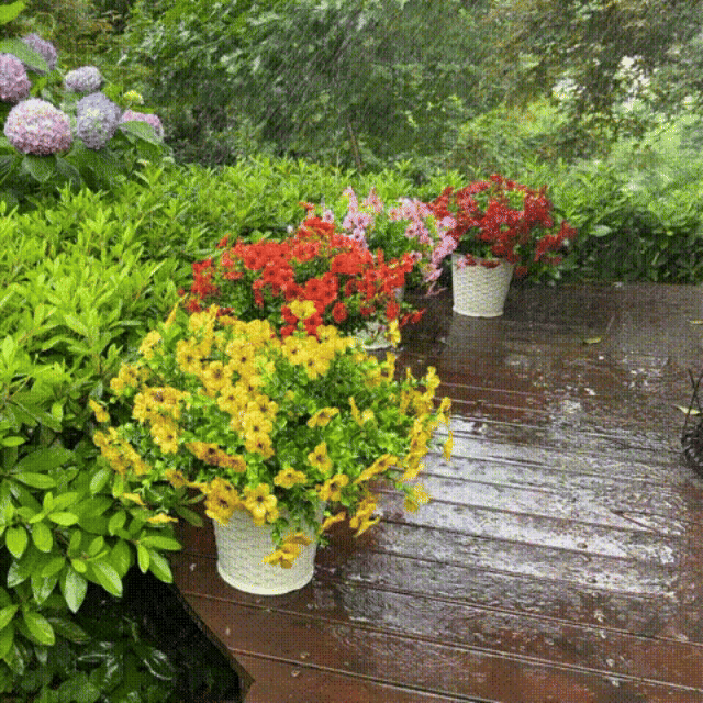 🔥Last Day 50% OFF🔥Realistic UV-Resistant Outdoor Flowers – Zero Maintenance