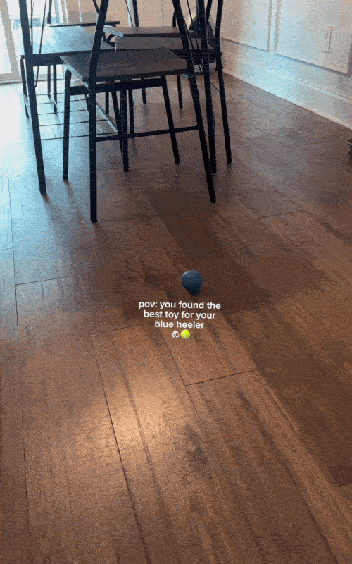 Smart Interactive Bouncing Ball