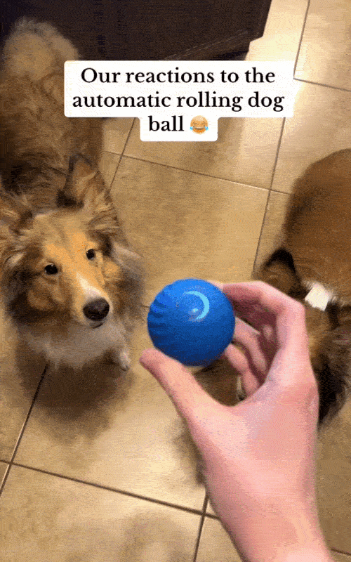 Smart Interactive Bouncing Ball