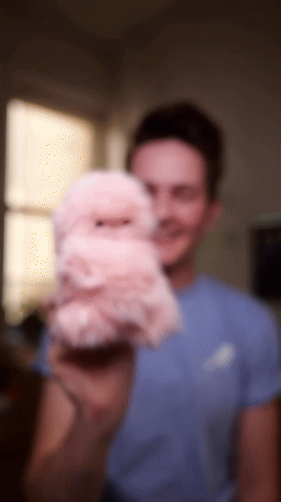 Meet MyPet AI - Your Interactive Pet